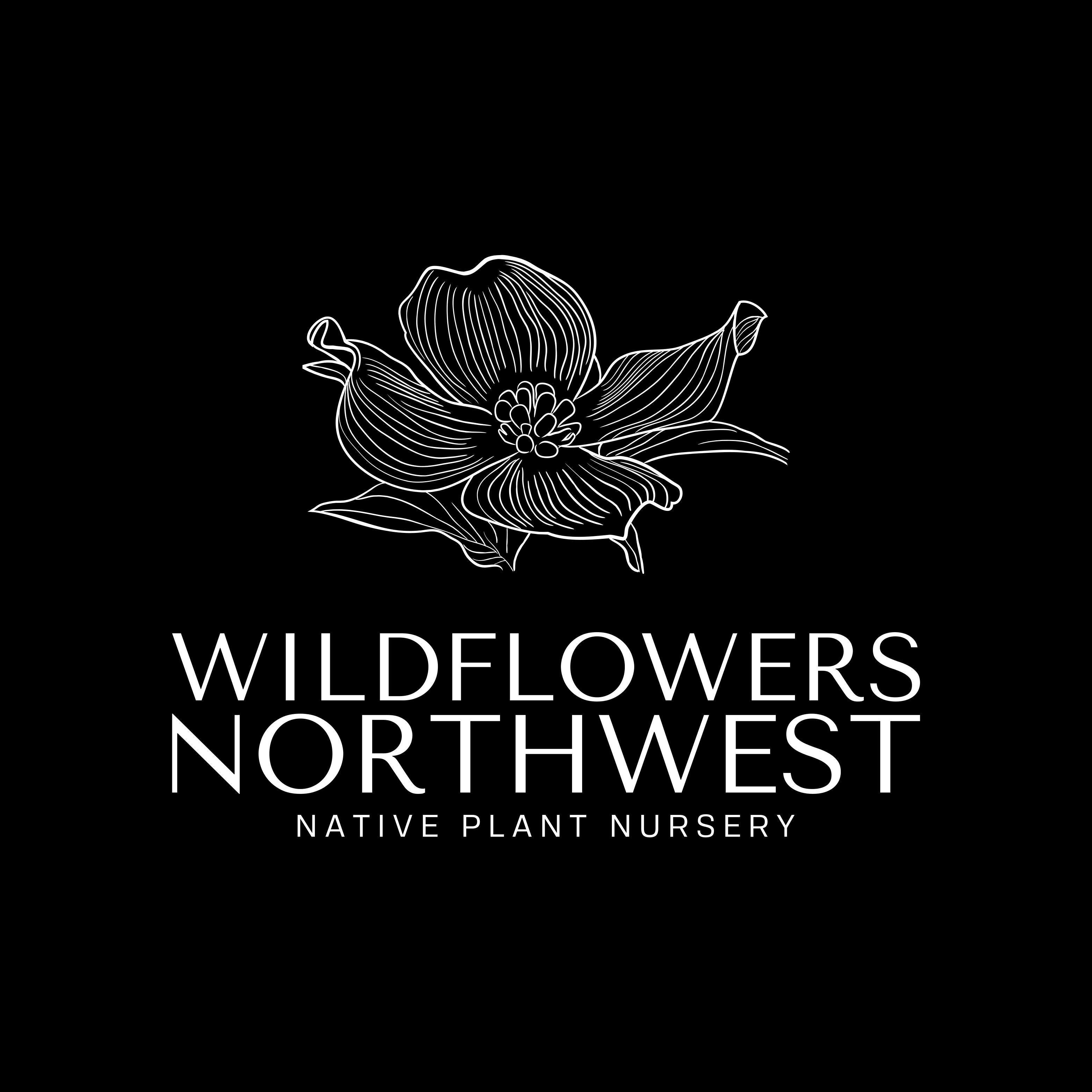 Wildflowers Northwest